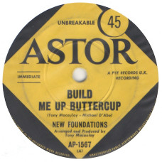 NEW FOUNDATIONS Build Me Up Buttercup 7SIN 00146