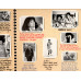 COMEDY COMPANY LP 00211 COMEDY COMPANY LP 00211