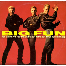 BIG FUN Can't Shake The Feeling 12SIN 00160 BIG FUN Can't Shake The Feeling 12SIN 00160