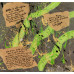CYNDI LAUPER Money Changes Everything 7SIN 00369 CYNDI LAUPER Money Changes Everything 7SIN 00369