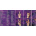 ALANIS MORISSETTE The Collection (352) ALANIS MORISSETTE The Collection (352)