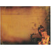 BERNARD FANNING Tea & Sympathy  (39)