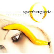 A PERFECT CIRCLE Thirteenth Step (741) A PERFECT CIRCLE Thirteenth Step (741)