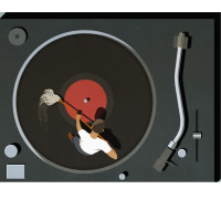 Vinyl Cleaning Service